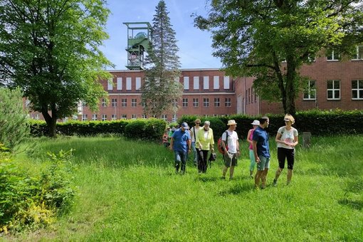 Wanderer in Landsweiler