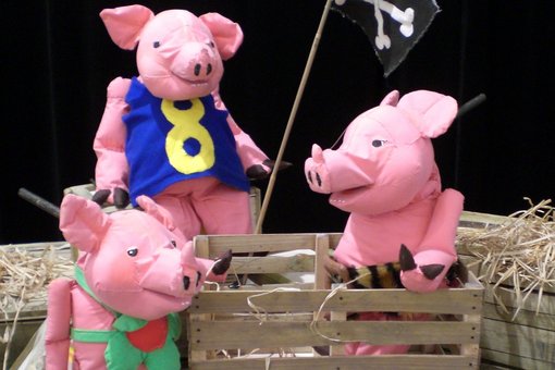 Foto zeigt drei Schweinchen